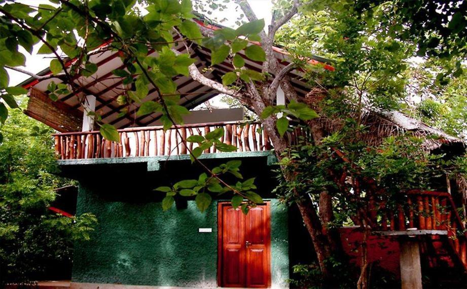 Sigiri Holiday Villa Sigirîya Extérieur photo