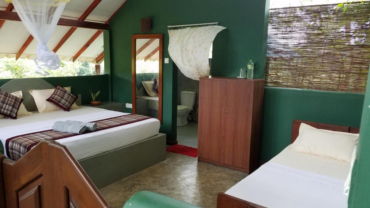 Sigiri Holiday Villa Sigirîya Extérieur photo