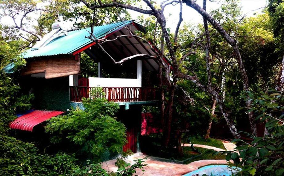 Sigiri Holiday Villa Sigirîya Extérieur photo