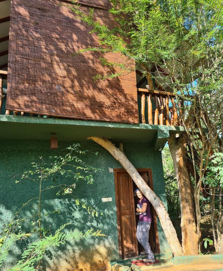 Sigiri Holiday Villa Sigirîya Extérieur photo
